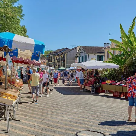 Lumineux Centre-ville, 2 Personnes, Wifi, Animaux Admis - Fr-1-841-31 Barbotan-les-Thermes