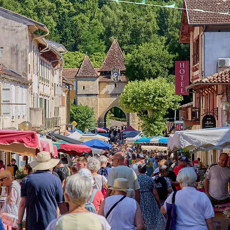 Lumineux Centre-ville, 2 Personnes, Wifi, Animaux Admis - Fr-1-841-31 Barbotan-les-Thermes