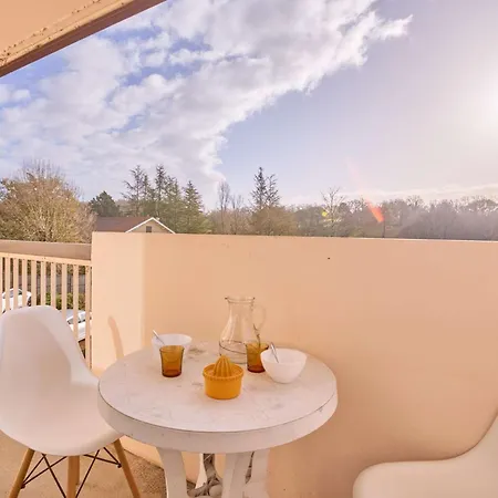 Lumineux Centre-ville, 2 Personnes, Wifi, Animaux Admis Barbotan-les-Thermes
