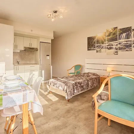 Lumineux Centre-ville, 2 Personnes, Wifi, Animaux Admis Apartment Barbotan-les-Thermes